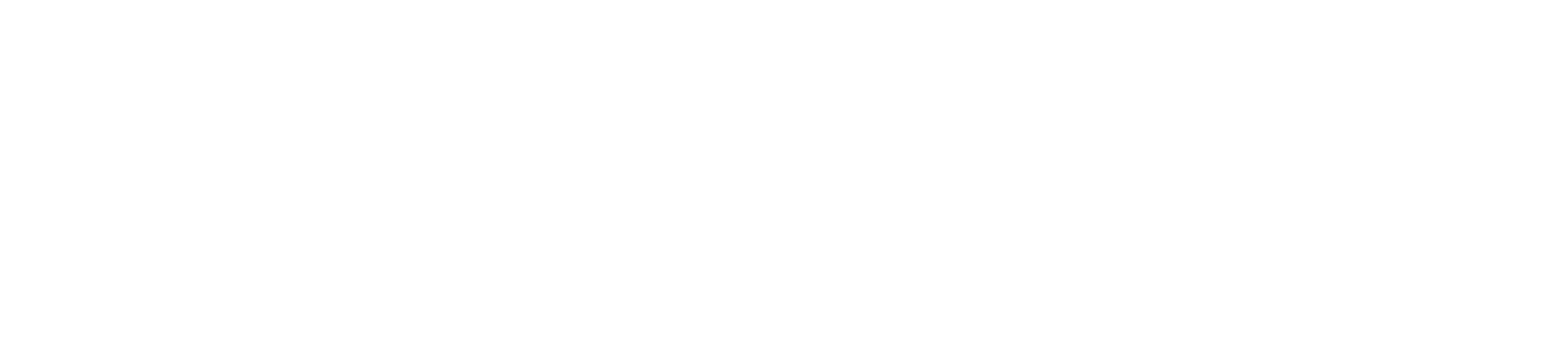 Logo blanc du site Raisin Studio